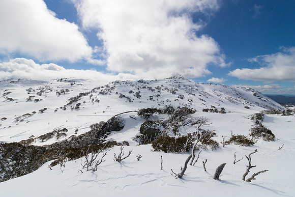 NSW Snowfields