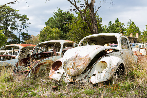 Cooma