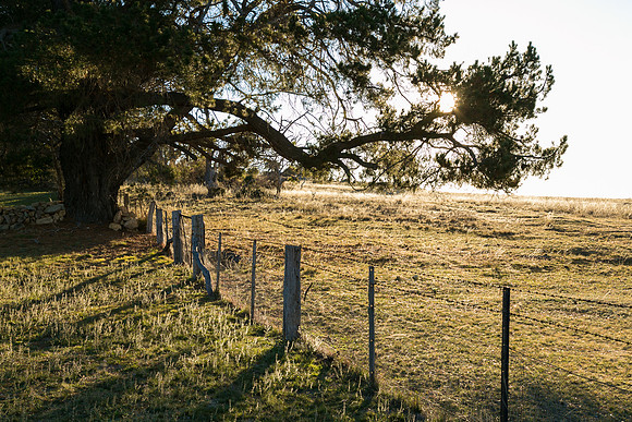Berridale