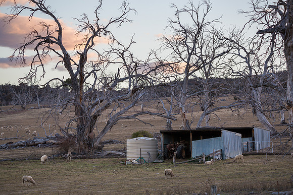 Cooma