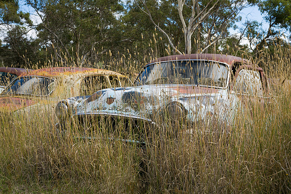 Cooma