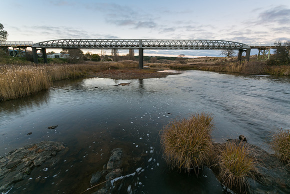 Dalgety