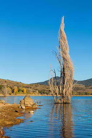 Jindabyne
