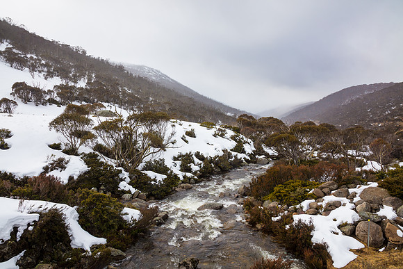 Snowy Mountains 2025