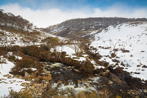 Snowy Mountains 2025