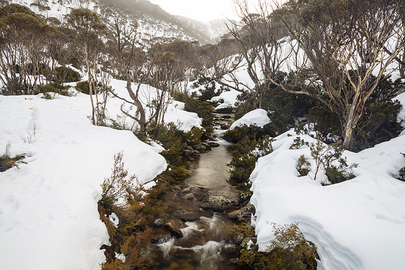 Snowy Mountains 2025