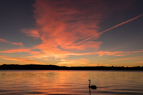 Lake Burley Griffin