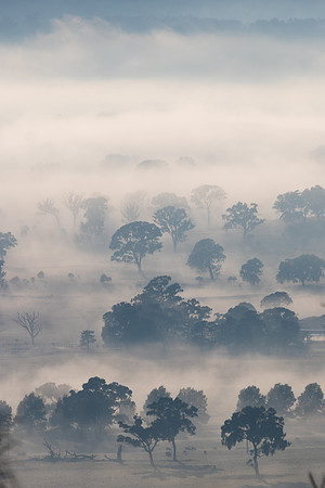 Misty morning