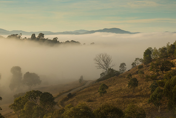Cooleman Ridge