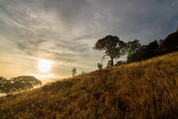 Cooleman Ridge