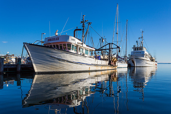 Bermagui wharf