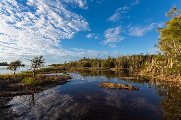 Wallaga Lake