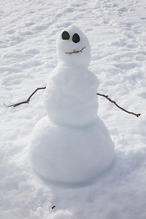 Snowy Mountains 2025