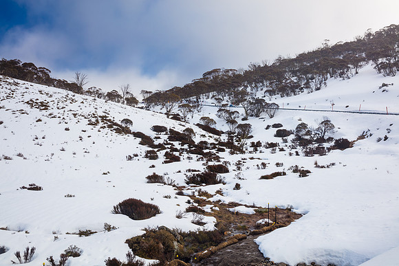 Snowy Mountains 2025