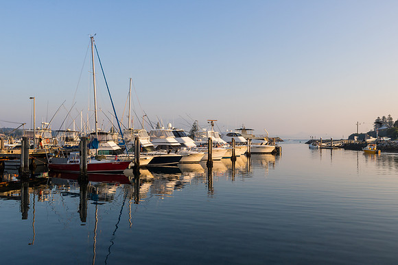 Bermagui Marina