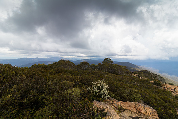 Mt Coree Summit