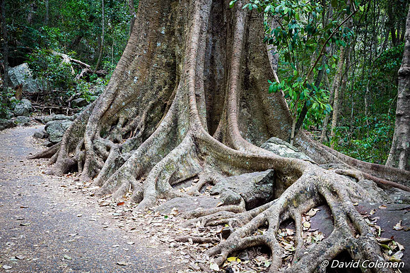 Gold Coast, Queensland