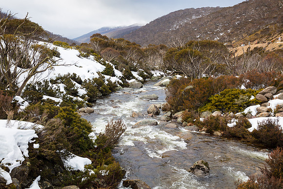 Snowy Mountains 2025