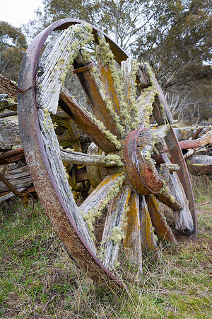 Coolamine Homestead