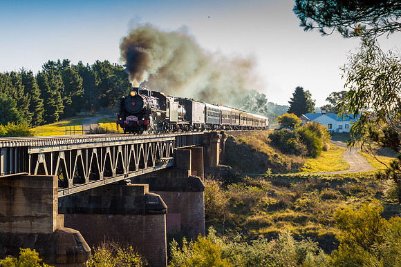 Loco 5917 - The Picnic Train