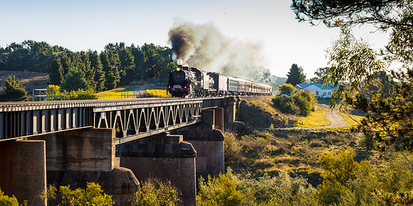 Loco 5917 - The Picnic Train