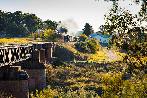 Loco 5917 - The Picnic Train