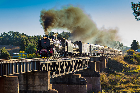 Loco 5917 - The Picnic Train