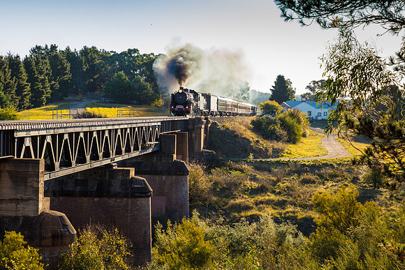 Loco 5917 - The Picnic Train