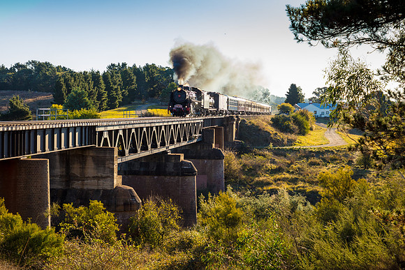 Loco 5917 - The Picnic Train