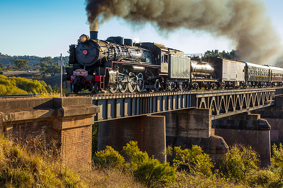 Loco 5917 - The Picnic Train