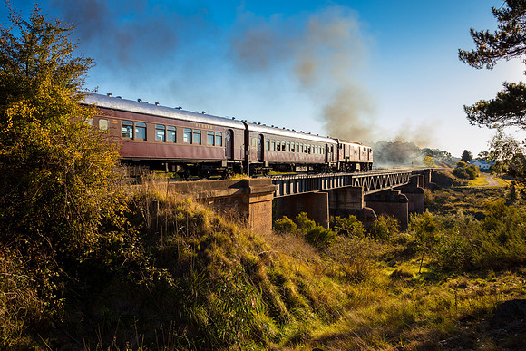 Loco 5917 - The Picnic Train