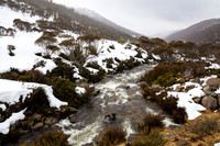 Snowy Mountains 2025