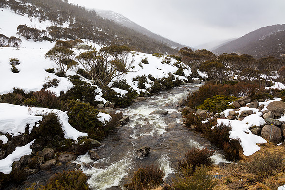 Snowy Mountains 2025