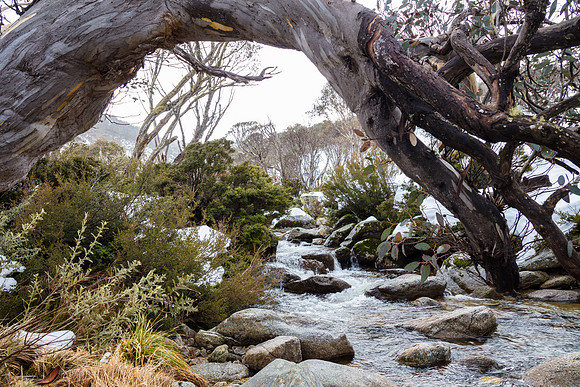 Snowy Mountains 2025
