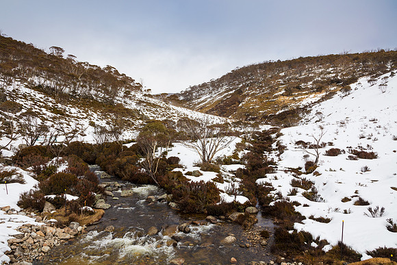 Snowy Mountains 2025